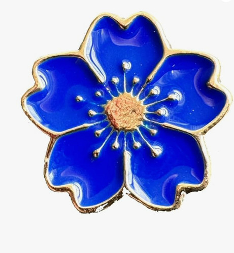 Forget not pin - pin, dementia