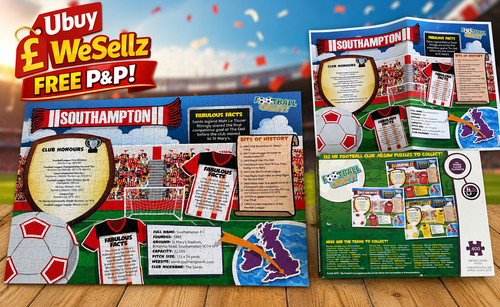 Southampton football crazy - southampton,