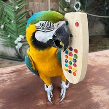 Remote control chewable parrot - remote,