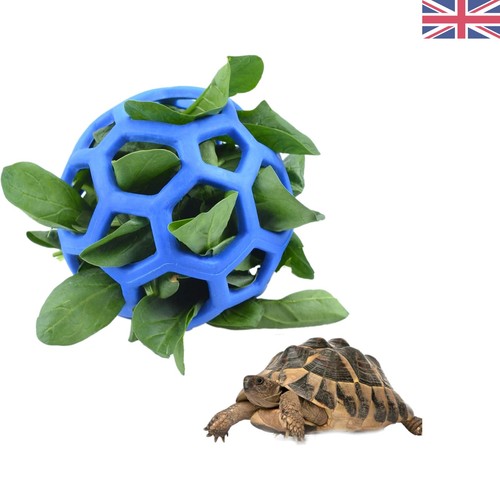 Tortoise treat ball foraging - tortoise,