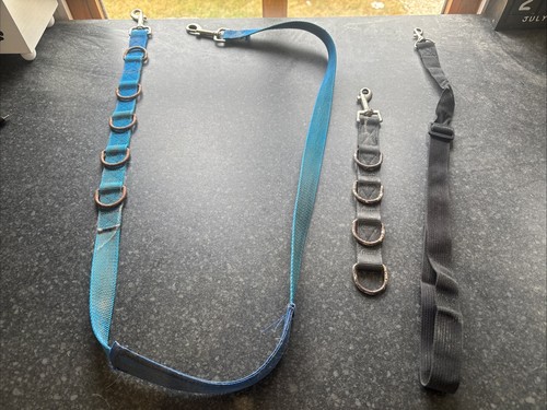 Dog grooming straps loops - grooming,