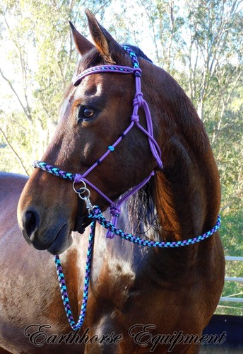 Earthhorse equipment bitless - earthhorse,