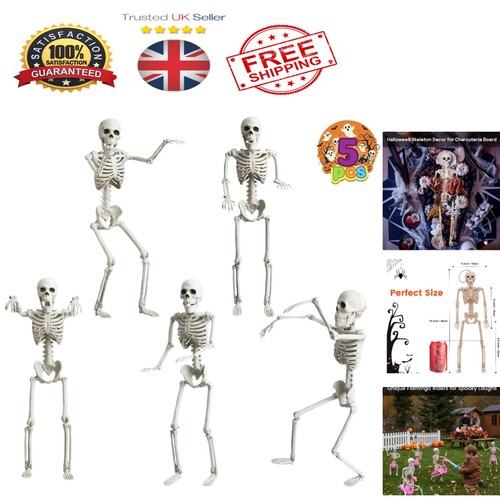 Pcs 40cm poseable skeletons - pcs,