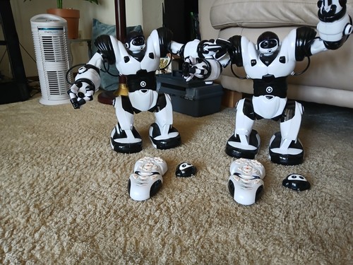 Wowwee robosapien robot - wowwee,