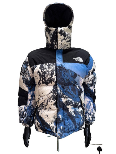 Supreme the north face - supreme,