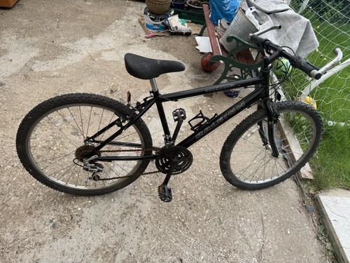 Raleigh bike usa - bike,