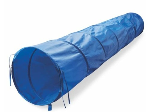 Agility for the dog - dog,