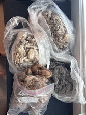 Lot 4 Raw Wool Fleeces