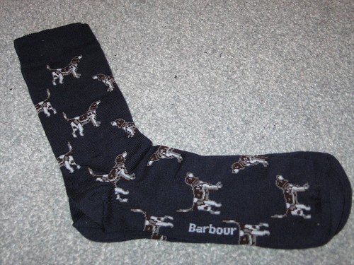 Barbour cotton rich pointer - barbour,