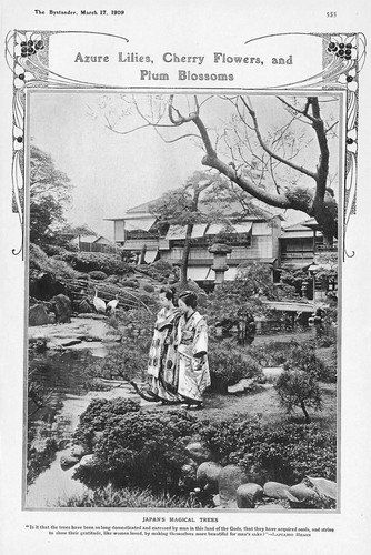 Japan magical trees azure - trees;,