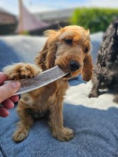 Split Red Deer Antler Dog Chew