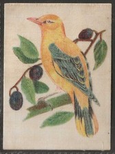 MORRIS (B)-ENGLISH AND FOREIGN