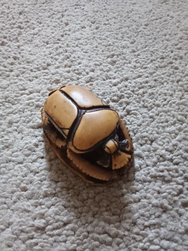 Egyptian scarab beetle - scarab,