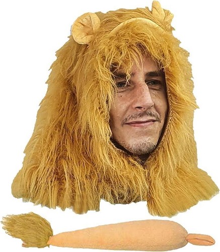 Childs mufasa lions maine - maine, ears