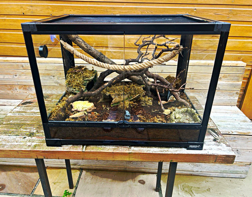 Prorep vivarium terrarium - prorep, vivarium/terrarium