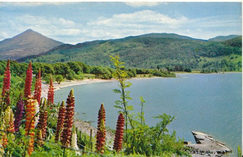 Scotland postcard loch - scotland,