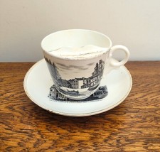 Victorian Bat Printed Moustache Cup Welsh Souvenir Llandrindod Wells
