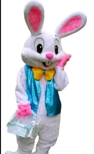 Easter party rabbit costume - party,
