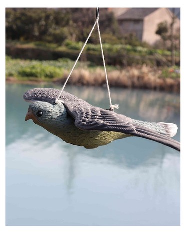 Realistic flying bird - flying, hawk