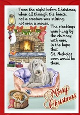 Bedlington Terrier Dog