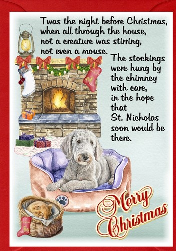 Bedlington terrier dog - bedlington,