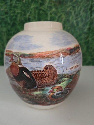 Mason patent ironstone - patent,