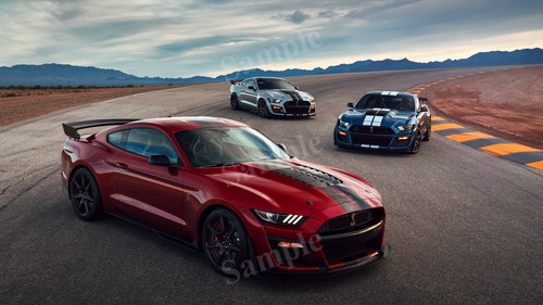 Ford mustang shelby gt500 high - mustang,
