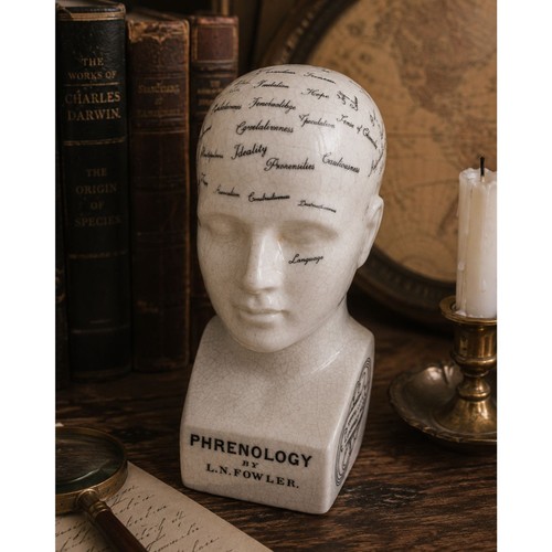 Fowler phrenology bust - l.n.,