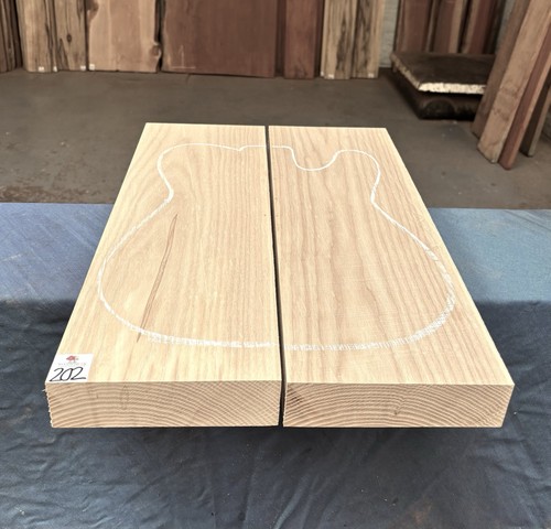 Swamp ash piece guitar - swamp, body