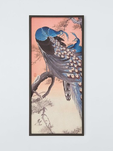 John lewis two peacocks a - john, on