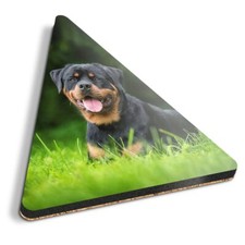 1x Triangle Coaster -