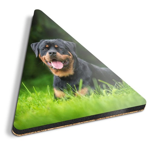 Triangle coaster - 1x,