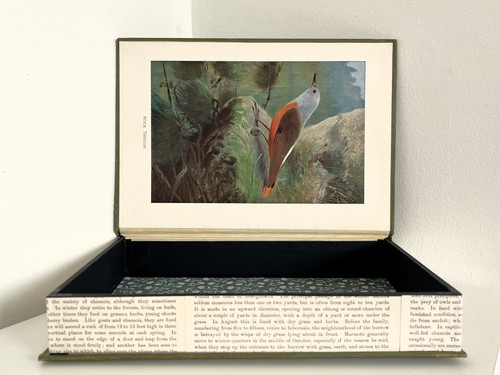 Hollow book key - hollow, safe-jewellery