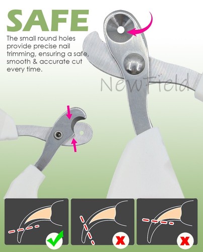 Little pet nail grooming dogs - pet,