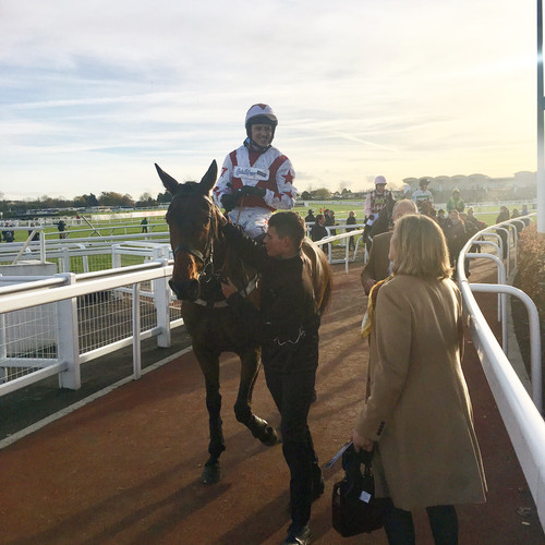 Cheltenham horse racing - cheltenham,