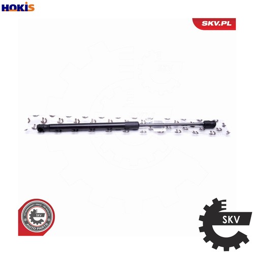 Gas spring bootcargo area - gas,