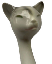 SILESIAN SIAMESE Grey CAT