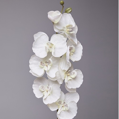 Artificial silk butterfly - silk,