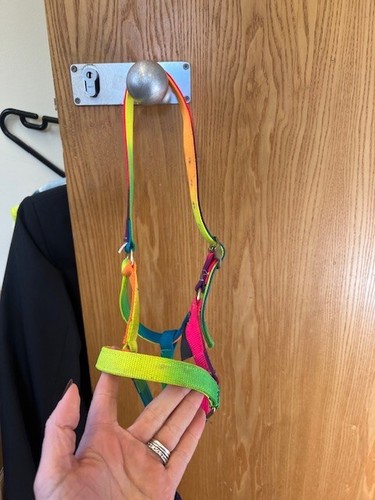Hkm multi colour headcollar - multi,