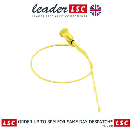 Engine oil level - engine, dipstick