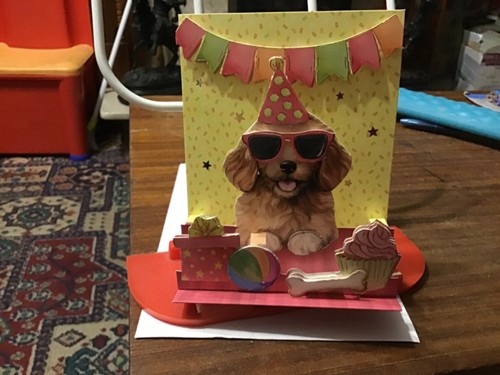 Hunkydory dog party hat pop - party,