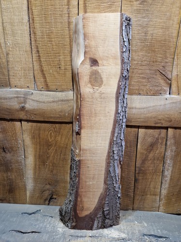 Cedar slab live edge - slab,