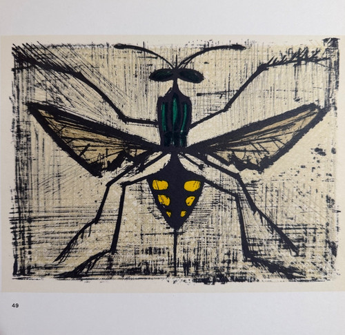 Bernard buffet color - bernard,