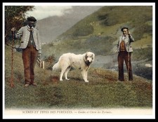 PYRENEAN MOUNTAIN DOG AND MEN IN ALPINE SETTING VINTAGE STYLE PRINT POSTER
