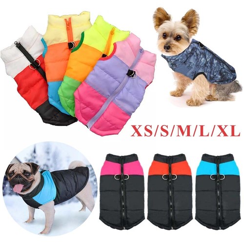 Waterproof cat dog padded vest - cat,