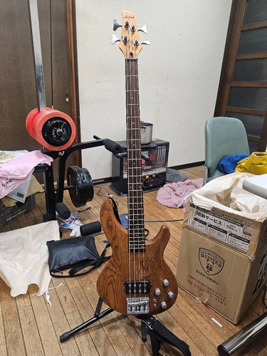 Aria pro igb electric - aria, ii