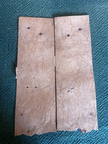 Poplar wood burr marquetry - wood, burr.