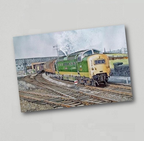 Fridge magnet class br - magnet,