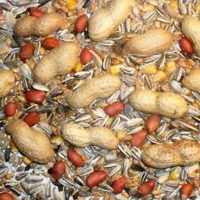 Johnston & Jeff Chipmunk & Squirrel Seed Mix Wild Animal Food 5kg *NEXT DAY*