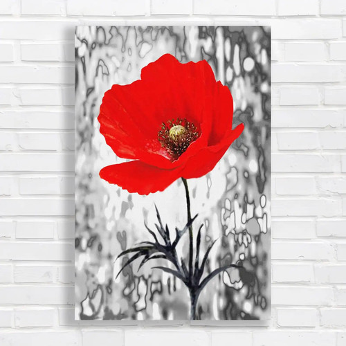 Vibrant crimson poppy canvas - vibrant,
